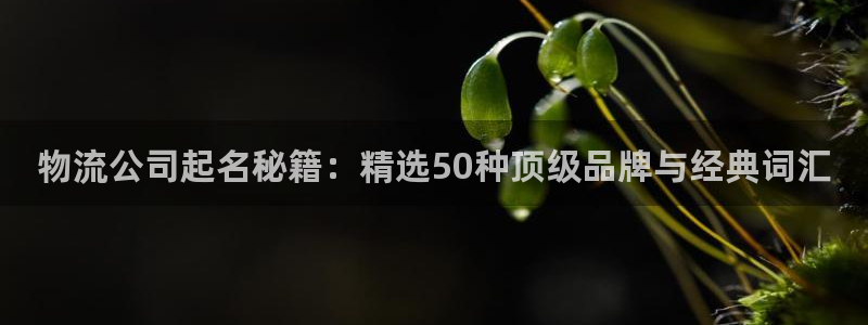 ,优游国际模拟器下载：物流公司起名秘