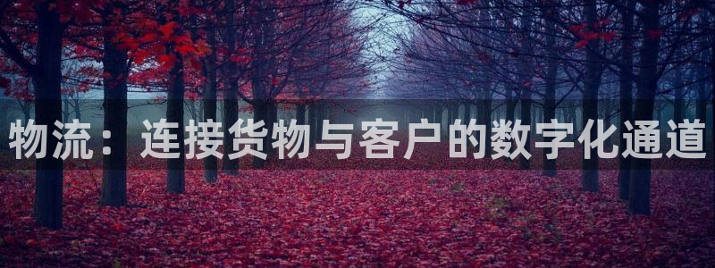 ,优游国际p扣除是什么意思：物流：连