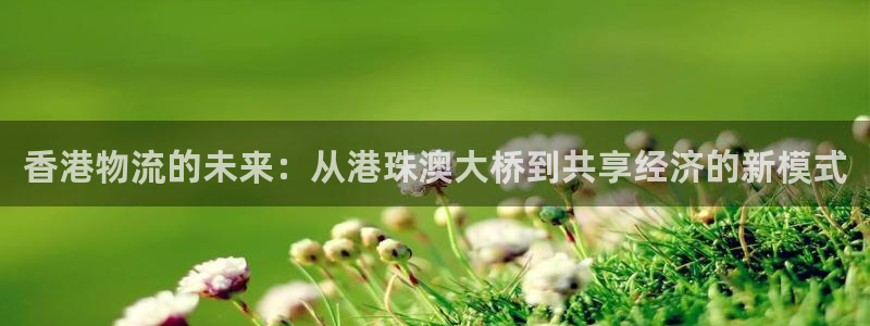 ,优游国际是南宫旗下的吗：香港物流的