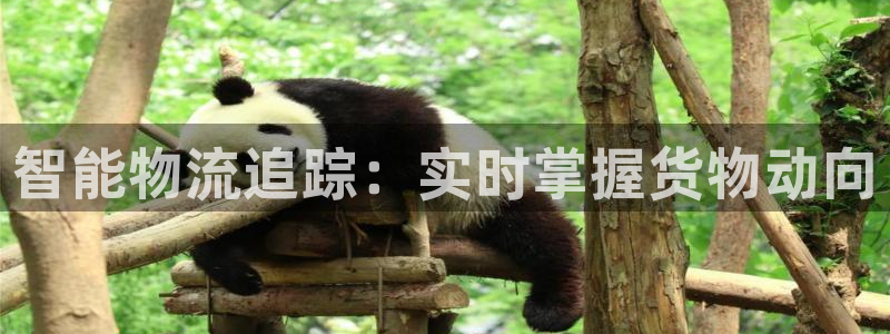 ,优游国际预测加拿大：智能物流追踪：