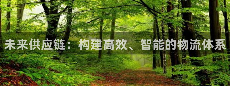 ,优游国际链接多少：未来供应链：构建