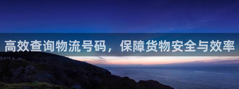,优游国际忘记账号：高效查询物流号码