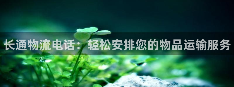 ,优游国际模拟器在线使用：长通物流电