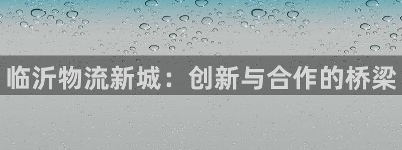 ,优游国际注册网页版：临沂物流新城：