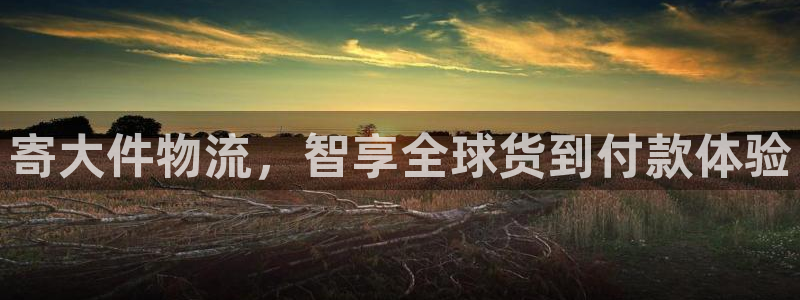 ,优游国际圈助手：寄大件物流，智享全