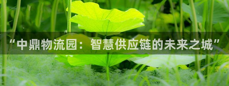 ,优游国际注册网页版：“中鼎物流园：