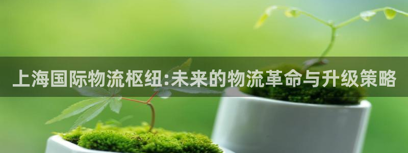 ,优游国际怎么注册账号和密码：上海国