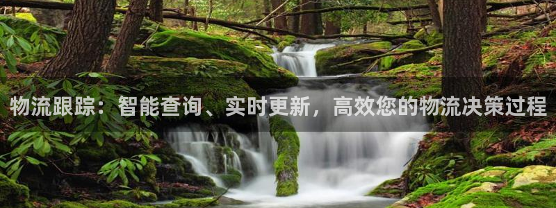 ,优游国际技巧：物流跟踪：智能查询、