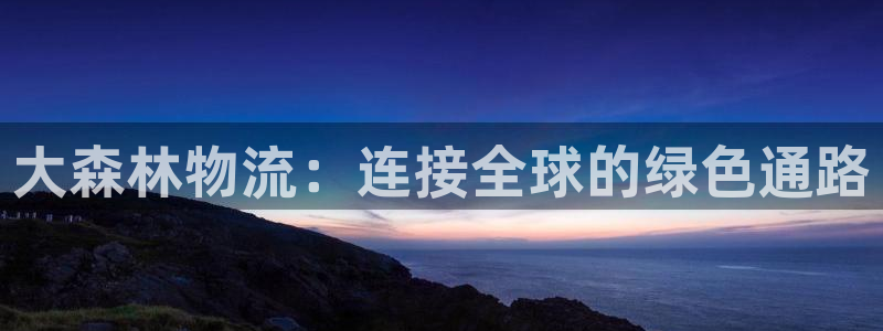 ,优游国际pg麻将胡了：大森林物流：
