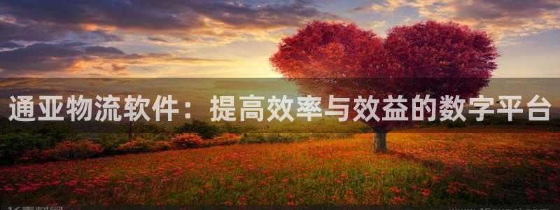 ,优游国际网赌案件：通亚物流软件：提