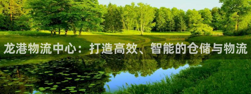 ,优游国际大舞台：龙港物流中心：打造