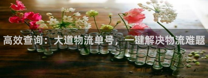 ,优游国际退款：高效查询：大道物流单