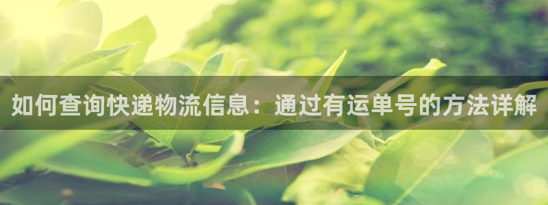,优游国际正规吗?