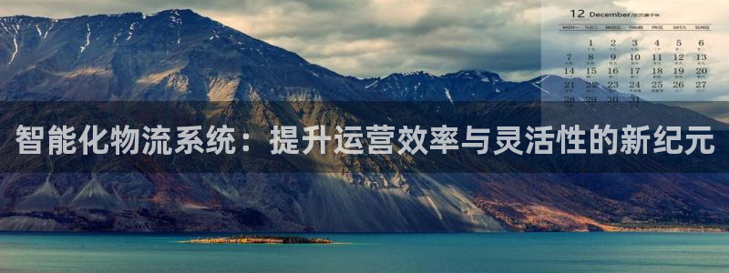 优游国际官方网站预测：智能化物流系统：提升运营效率与灵活性的