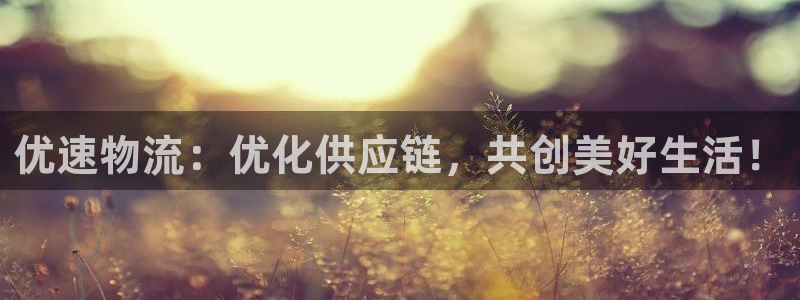 ,优游国际娱乐官网网页：优速物流：优