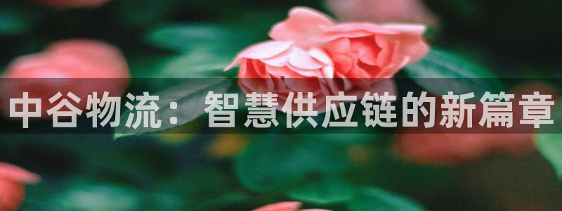 ,优游国际模拟器在线使用：中谷物流：智慧供应链的新篇章
