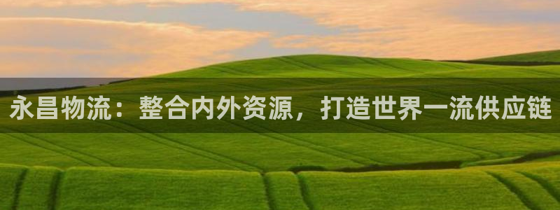 ,优游国际模拟器在线使用：永昌物流：