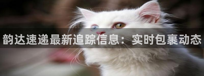 ,优游国际ccm官网版：韵达速递最新