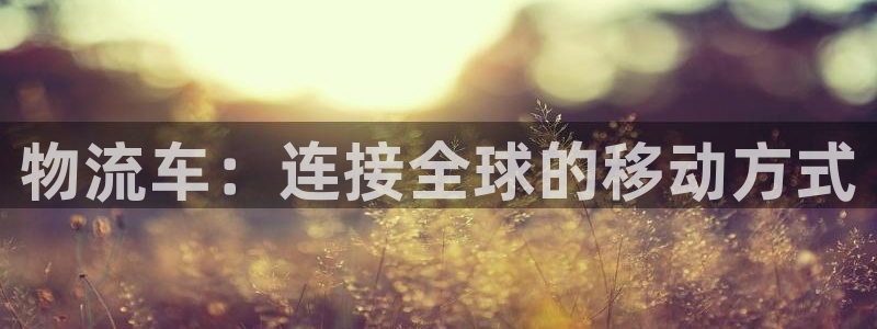 ,优游国际如何看012路计划：物流车