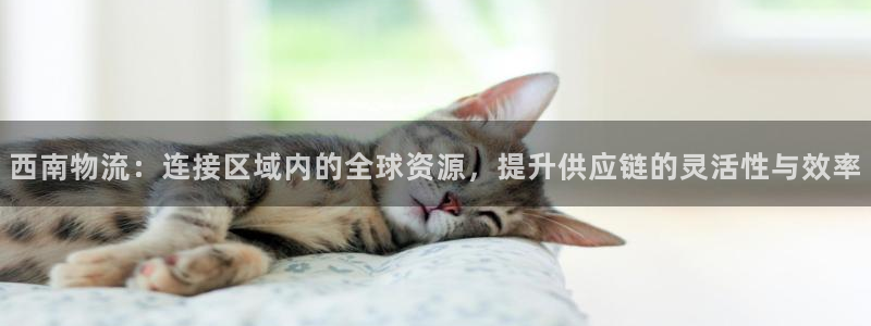 ,优游国际游戏最新版：西南物流：连接区域内的全球资源，提升供