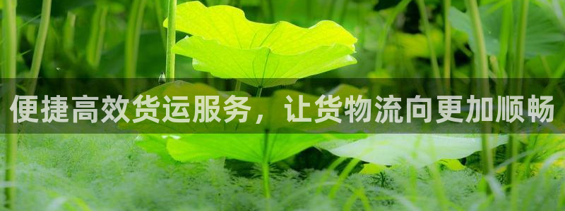 ,优游国际aPP退款：便捷高效货运服
