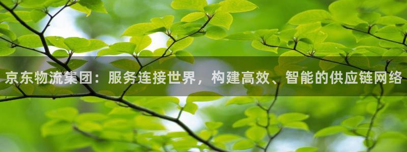 ,优游国际pg麻将胡了：京东物流集团