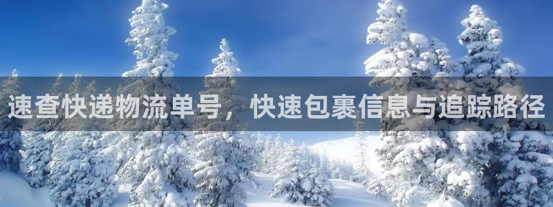 ,优游国际提款一直没到:速查快递物流