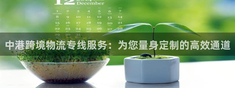 优游国际官方网站预测:中港跨境物流专