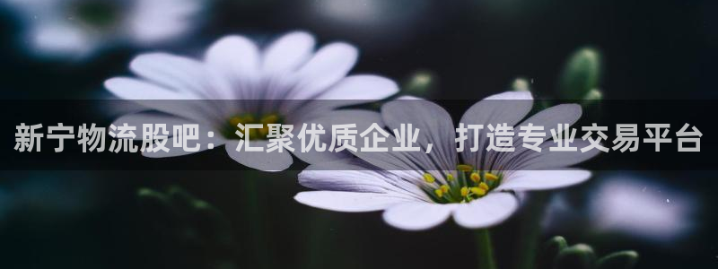 ,优游国际现在狂杀：新宁物流股吧：汇