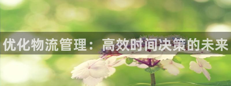 ,优游国际加拿大官网