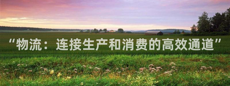 ,优游国际链接来一个：“物流：连接生