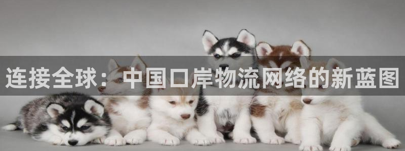,优游国际链官网：连接全球：中国口岸