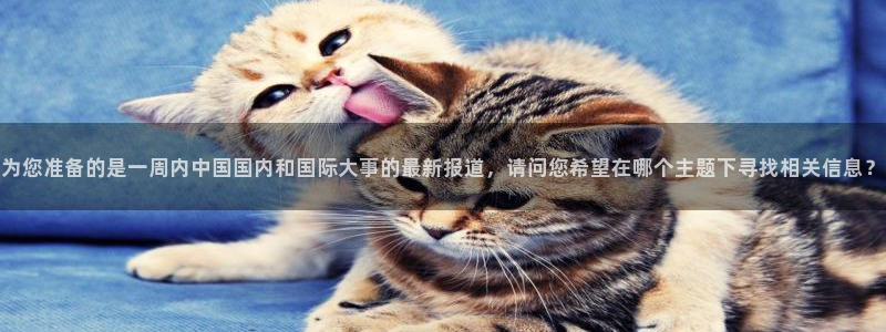 9255tv直播nba在线观看