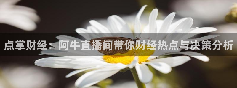 9255tv直播无插件nba