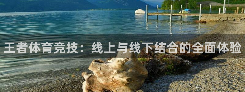 9255tv直播nba在线直播：王者体育竞技：线上与线下结合的全面体验