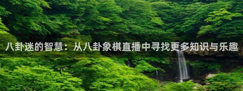 9255tv直播无插件nba：八卦迷的智慧：从八卦象棋直播中寻找更多知识与乐趣