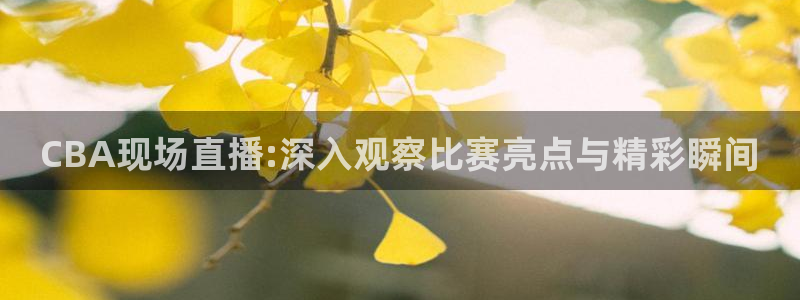 9255tv直播nba在线直播：CBA现场直播:深入观察比赛亮点与精彩瞬间