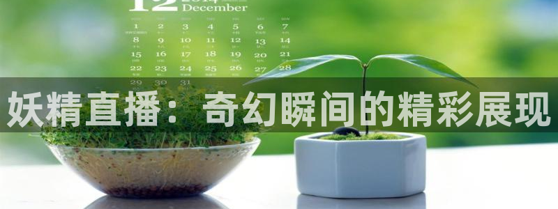9255tv直播无插件nba：妖精直播：奇幻瞬间的精彩展现