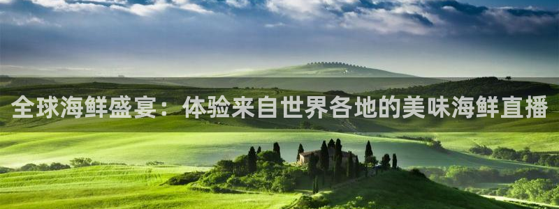 9255tv直播无插件nba：全球海鲜盛宴：体验来自世界各地的美味海鲜直播
