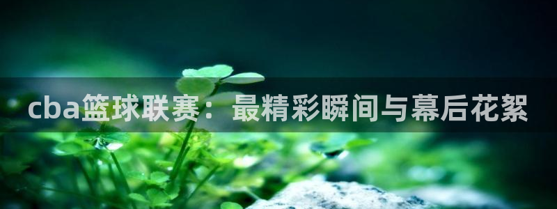 9255tv直播nba在线直播：cba篮球联赛：最精彩瞬间与幕后花絮