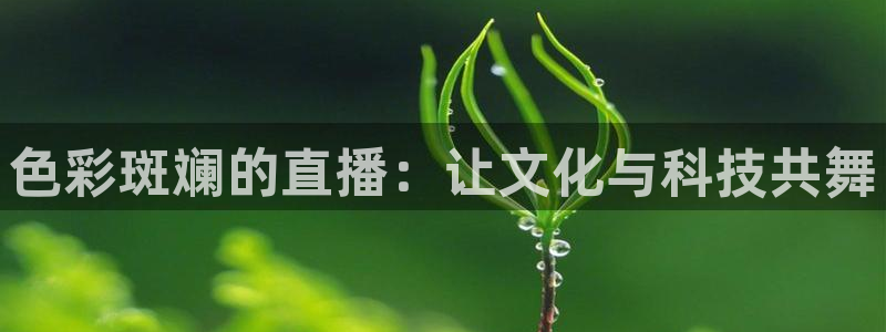 9255tv直播nba在线直播：色彩斑斓的直播：让文化与科技共舞