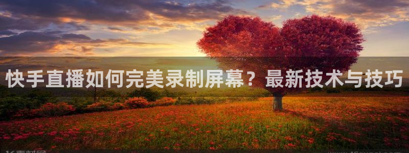 9255tv直播无插件nba：快手直播如何完美录制屏幕？最新技术与技巧