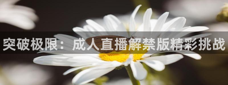 9255tv直播nba在线直播：突破极限：成人直播解禁版精彩挑战