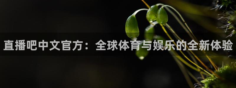 9255tv直播nba在线直播：直播吧中文官方：全球体育与娱乐的全新体验
