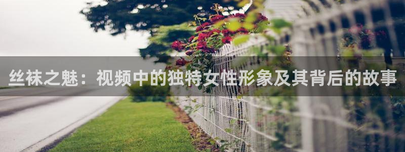 9255tv直播nba在线观看：丝袜之魅：视频中的独特女性形象及其背后的故事
